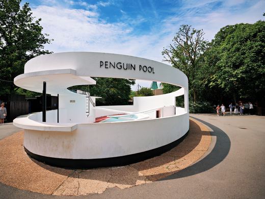 London Zoo Penguin Pool / DSC05306_PerfectlyClear_VSCO.JPG · Stephen © Copyright