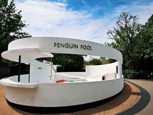 London Zoo Penguin Pool / DSC05380_PerfectlyClear_VSCO.JPG · Stephen © Copyright