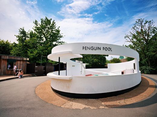 London Zoo Penguin Pool / DSC05397_PerfectlyClear_VSCO.JPG · Stephen © Copyright