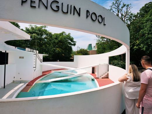 London Zoo Penguin Pool / DSC05409_PerfectlyClear_VSCO.JPG · Stephen © Copyright