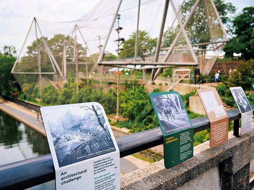 London Zoo Snowdon Aviary / DSC04993_PerfectlyClear_VSCO.JPG · Stephen © Copyright