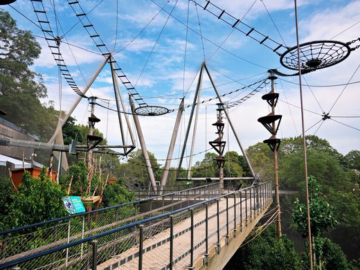 London Zoo Snowdon Aviary / DSC05144_PerfectlyClear_VSCO.JPG · Stephen © Copyright